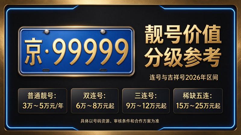 闲置北京指标出租车辆展示
